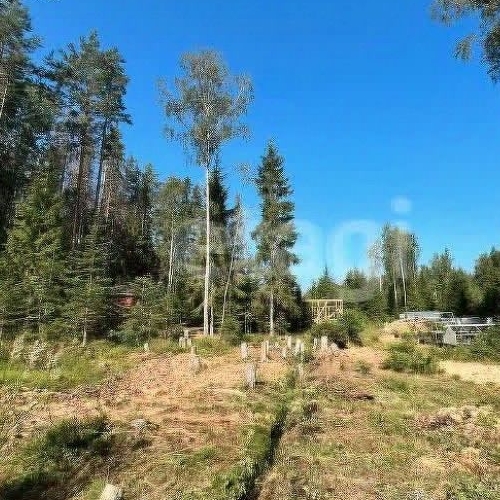 Земельный участок ДНП Лесной хут., д. Сарженка