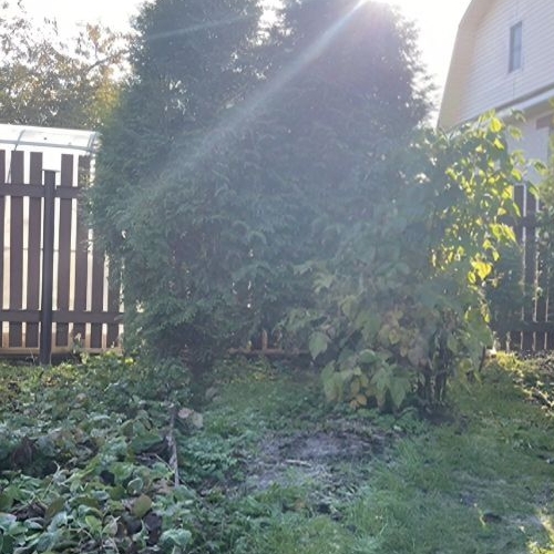 Коттедж/дом Михайловский садоводческий массив, Отрадненское СНТ, 14-я линия, 665