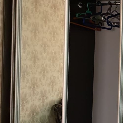 1-комн квартира Всеволожск, Василеозерская улица, 8/6