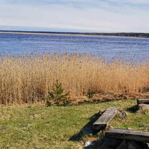 Земельный участок пос. Соловьево, 41