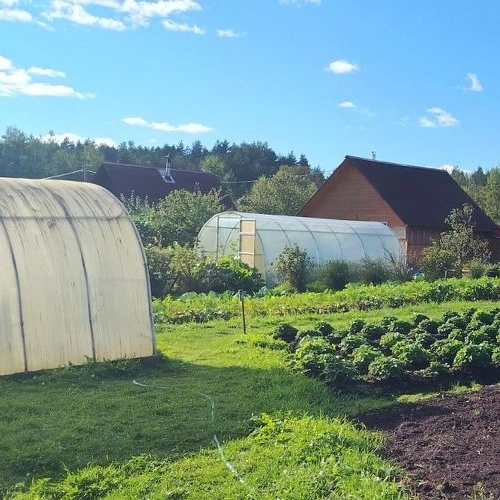 Коттедж/дом Мелиоратор СНТ,  д. 47