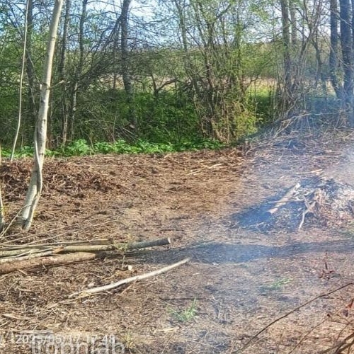 Земельный участок Зеленый лес дп,  д. 274