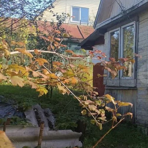 Коттедж/дом Нефтяник СНТ, улица 10-я