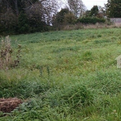 Земельный участок пос. Горьковское, улица Совхозная