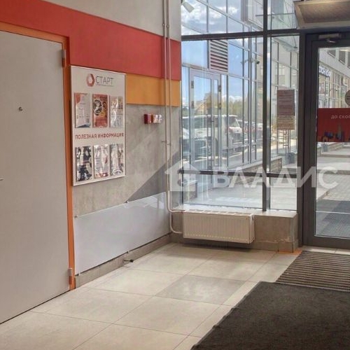 Студия пос. Парголово, проезд Толубеевский, 8к2