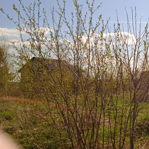 Земельный участок Гаричи ДНП, улица Прилесная