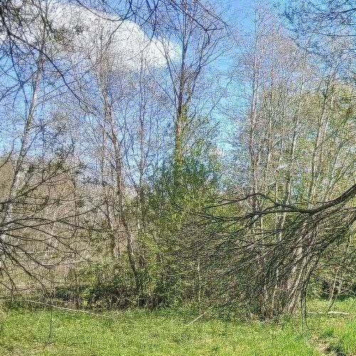 Коттедж/дом д. Трусово, 36