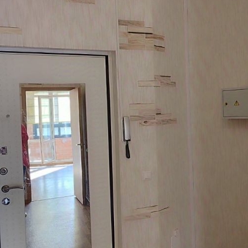 Студия Всеволожск, улица Шишканя, 14