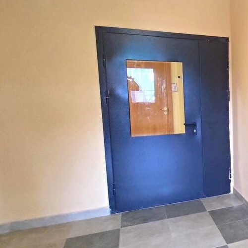 Студия д. Новое Девяткино, улица Главная, 2