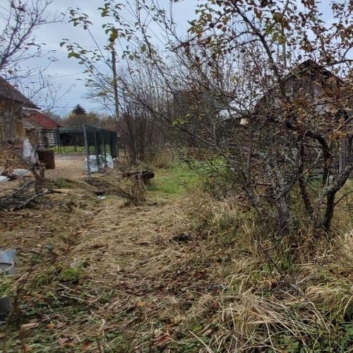 Коттедж/дом Мшинская садоводческий массив, НПО ВНИИМ имени Д.И. Менделеева СНТ, проспект Малый