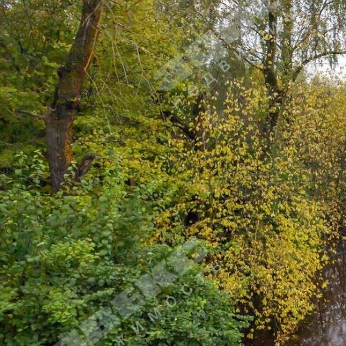 Коттедж/дом Камышинская улица, 4