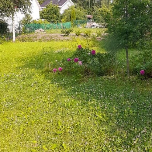 Земельный участок пос. Белоостров, СИЗ СНТ, дорога 5-я