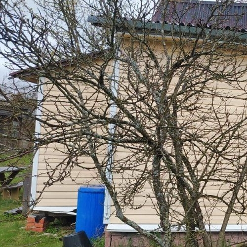 Коттедж/дом Родник СНТ, 1-я линия, 55