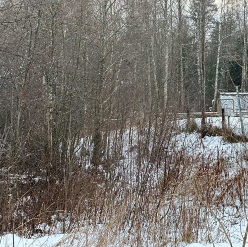 Земельный участок Белоостров массив, Поляна-2 снт.