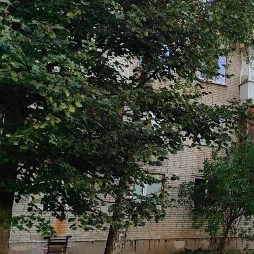 1-комн квартира пос. Парголово, улица Первого Мая, 79