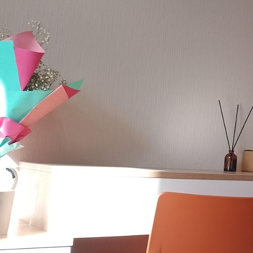 Студия пос. Парголово, проезд Толубеевский, 8к2