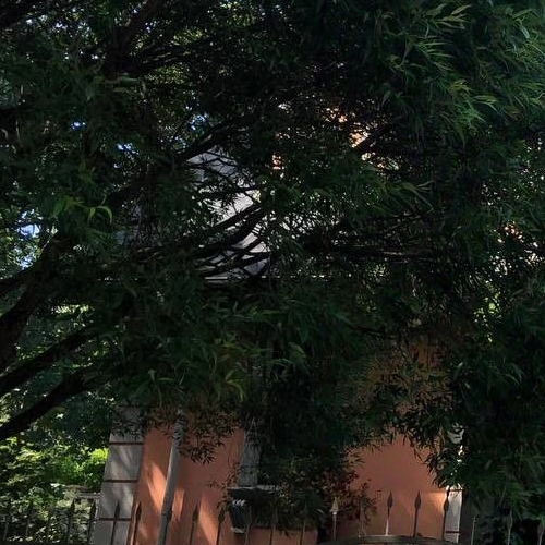 Коттедж/дом Петергоф, улица Нахимова, 11