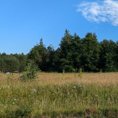 Земельный участок Нурми Хиллс клп, д. Борисово, улица Бирюзовая,  д. 15