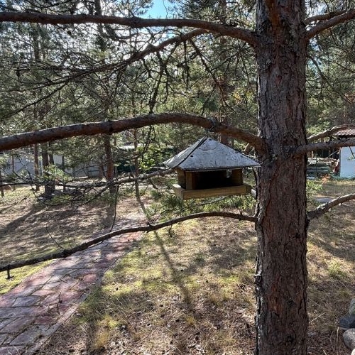 Коттедж/дом Надежда СНТ, 117