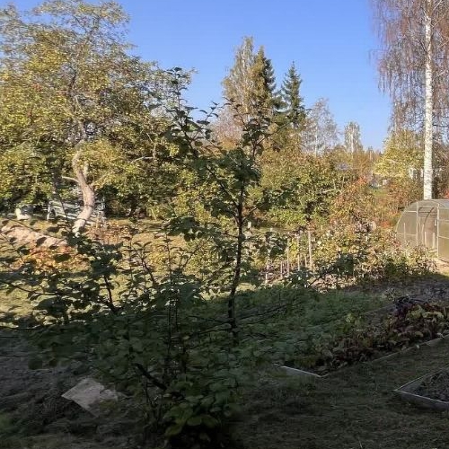 Коттедж/дом Солнечный СНТ, улица Клубничная