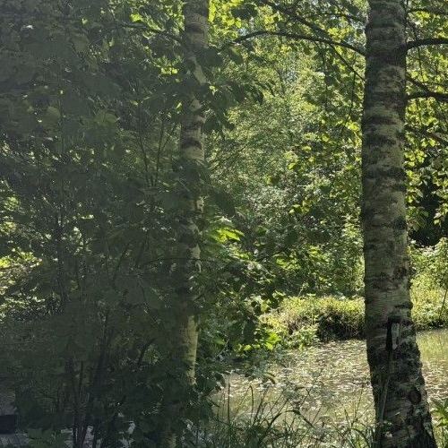 Коттедж/дом Дзержинец-2 СНТ