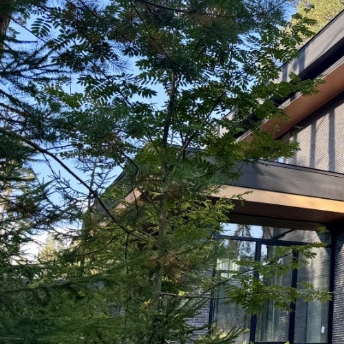 Коттедж/дом пос. Ленинское, Спутник СНТ