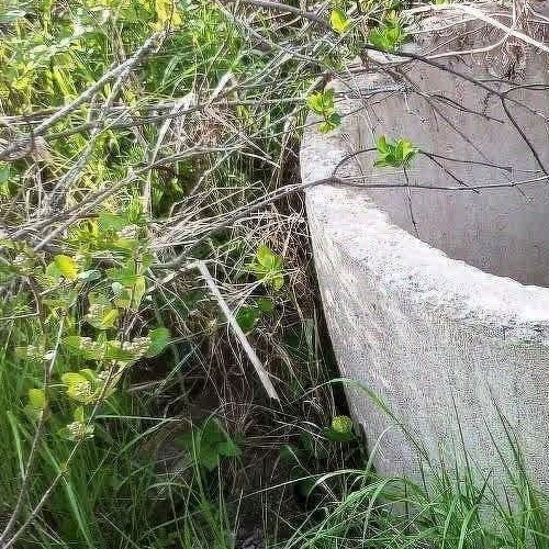 Коттедж/дом Волхов, Строитель-2 СНТ, 100