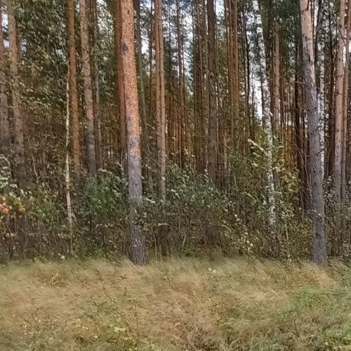 Земельный участок Воякоярви СНТ, 8-я линия