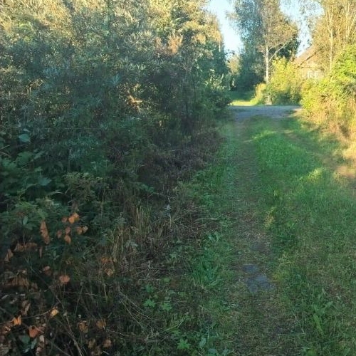 Коттедж/дом Пупышево садоводческий массив, Чайка СНТ, 2-я линия