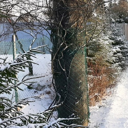 Коттедж/дом Новинка садоводческий массив, Парус СНТ, 1-я линия