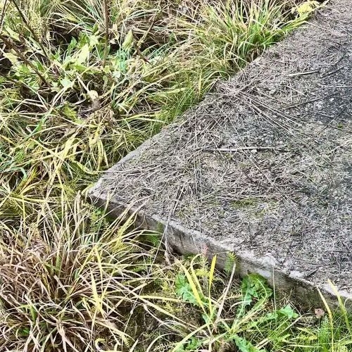 Коттедж/дом Будогощь пгт, Ракитино СНТ, 10-я линия, 43