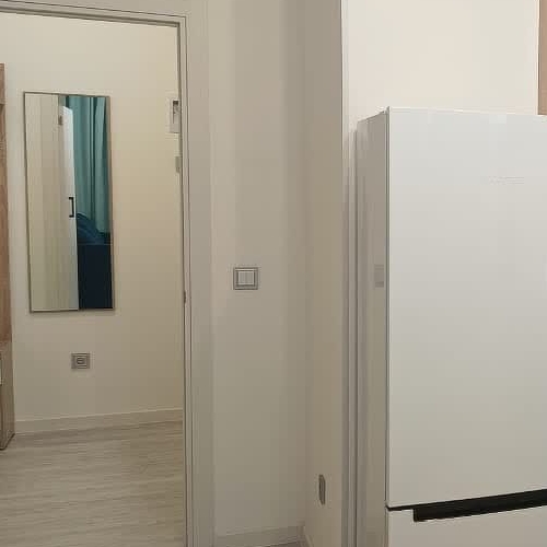 Студия проспект Ветеранов, 204