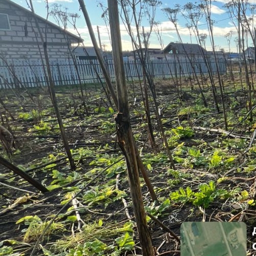 Земельный участок д. Аннолово, проезд 1-й Кошелевский,  д. 10