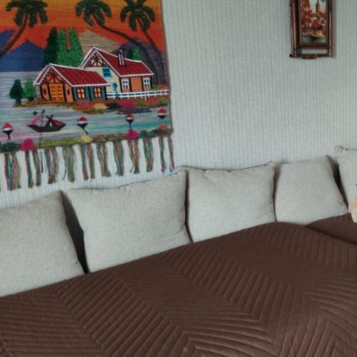 1-комн квартира пос. Саперное, улица Школьная, 6