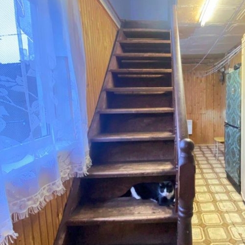 Коттедж/дом д. Ольховка, улица Озерная, 25