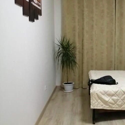 2-комн квартира пос. Янино-1, улица Голландская, 10к2