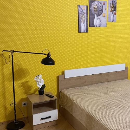 2-комн квартира улица Чудновского, 19