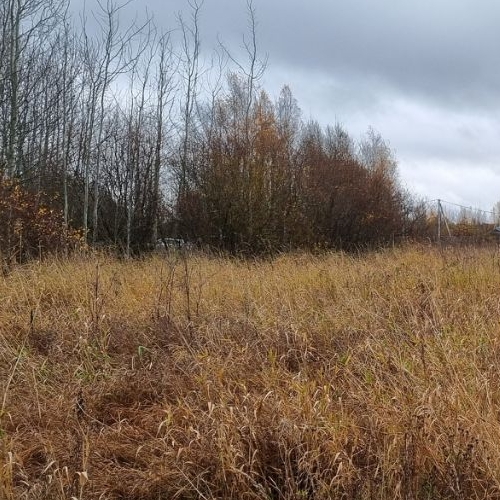 Земельный участок Пулковское шоссе, 61к5Н