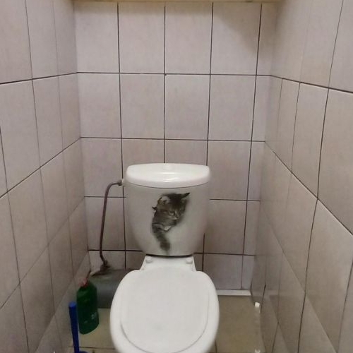 Комната Взлетная улица, 11