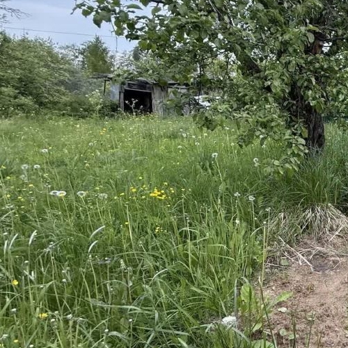 Земельный участок Механизатор СНТ, улица 3-я, 46