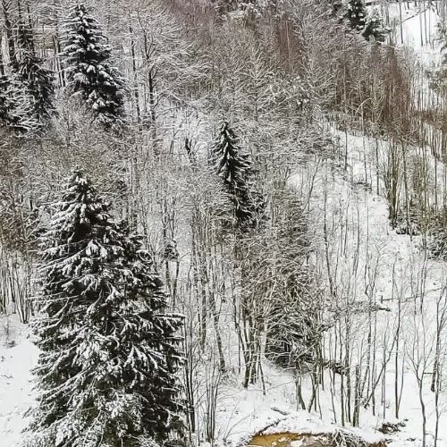 Земельный участок д. Юкки, улица Спортивная
