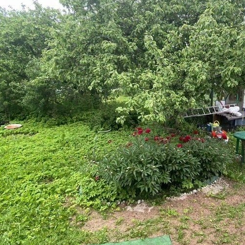 Коттедж/дом Выборг, Портовик СНТ