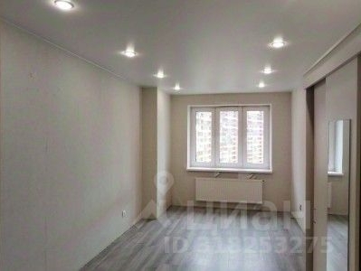 1-комн квартира Мурино, улица Шоссе в Лаврики, 59к1