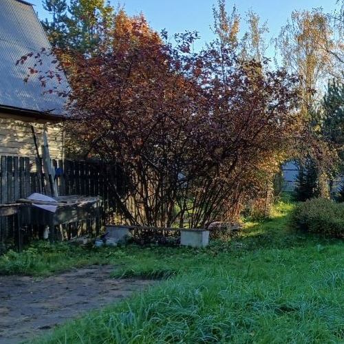 Коттедж/дом пос. Тярлево, Московское шоссе