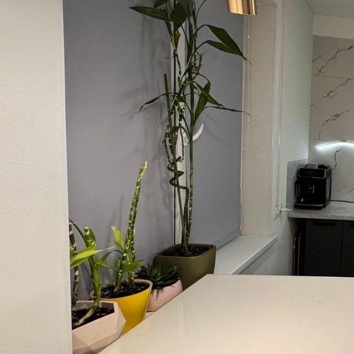 1-комн квартира Петергоф г, Парковая (Знаменка) ул