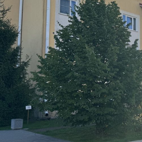 3-комн квартира Сестрорецк, улица Александра Паншина, 20