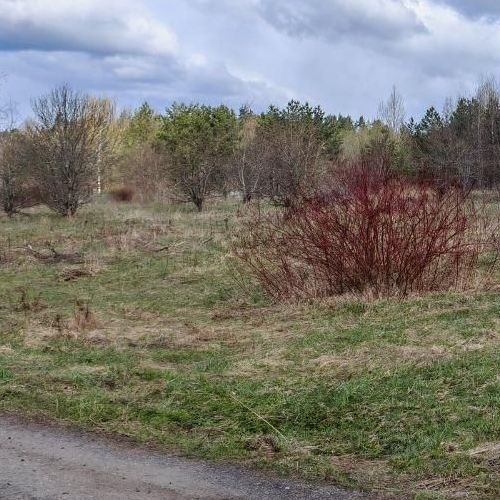 Земельный участок д. Светлое, улица Садовая, 44