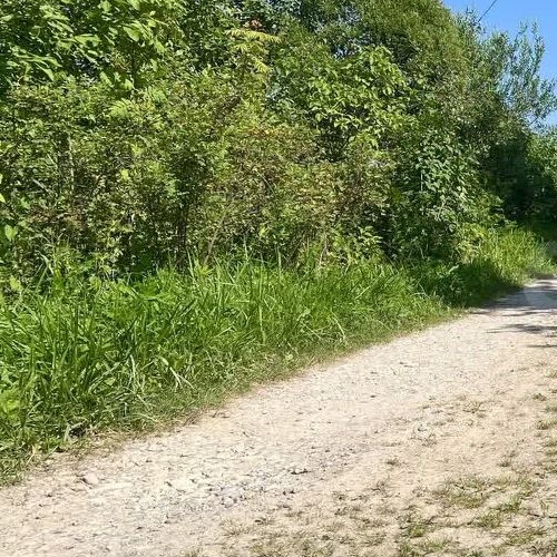 Коттедж/дом Посадников остров садоводческий массив, Дружба-3 СНТ, 23-я линия