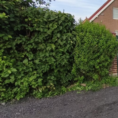 Коттедж/дом Бриз СНТ, улица Цветочная,  д. 21