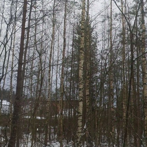 Земельный участок Алюмино СНТ, тупик Непокоренных